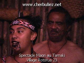légende: Spectacle Maori au Tamaki Village Rotorua 23
qualityCode=raw
sizeCode=half

Données de l'image originale:
Taille originale: 140626 bytes
Temps d'exposition: 1/50 s
Diaph: f/180/100
Heure de prise de vue: 2003:02:28 18:10:21
Flash: non
Focale: 420/10 mm
